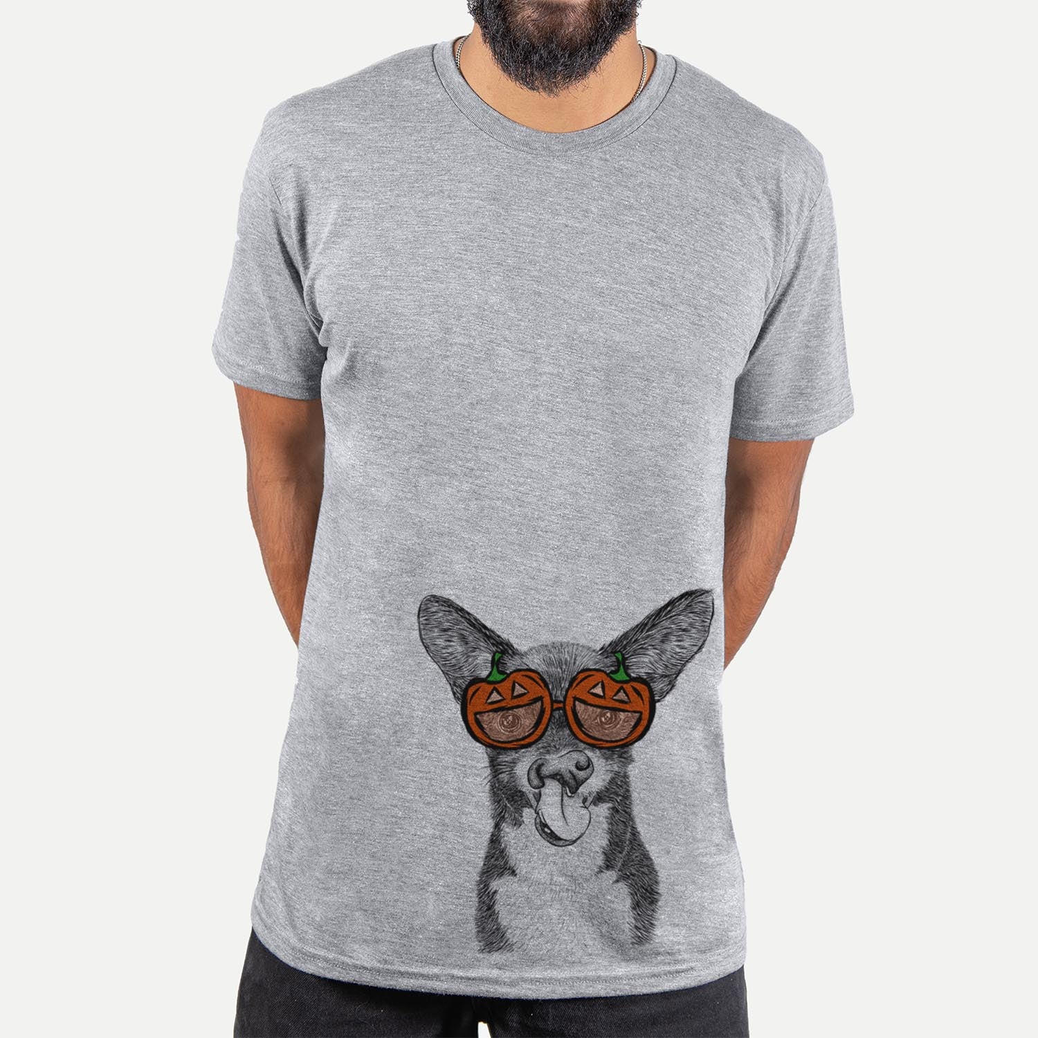 Sprout the Chihuahua Mix  - Pumpkin Collection