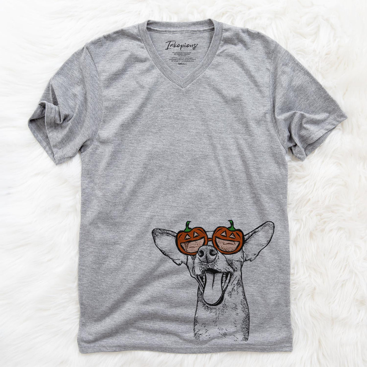 Sweet Bailey the Chihuahua Mix  - Pumpkin Collection