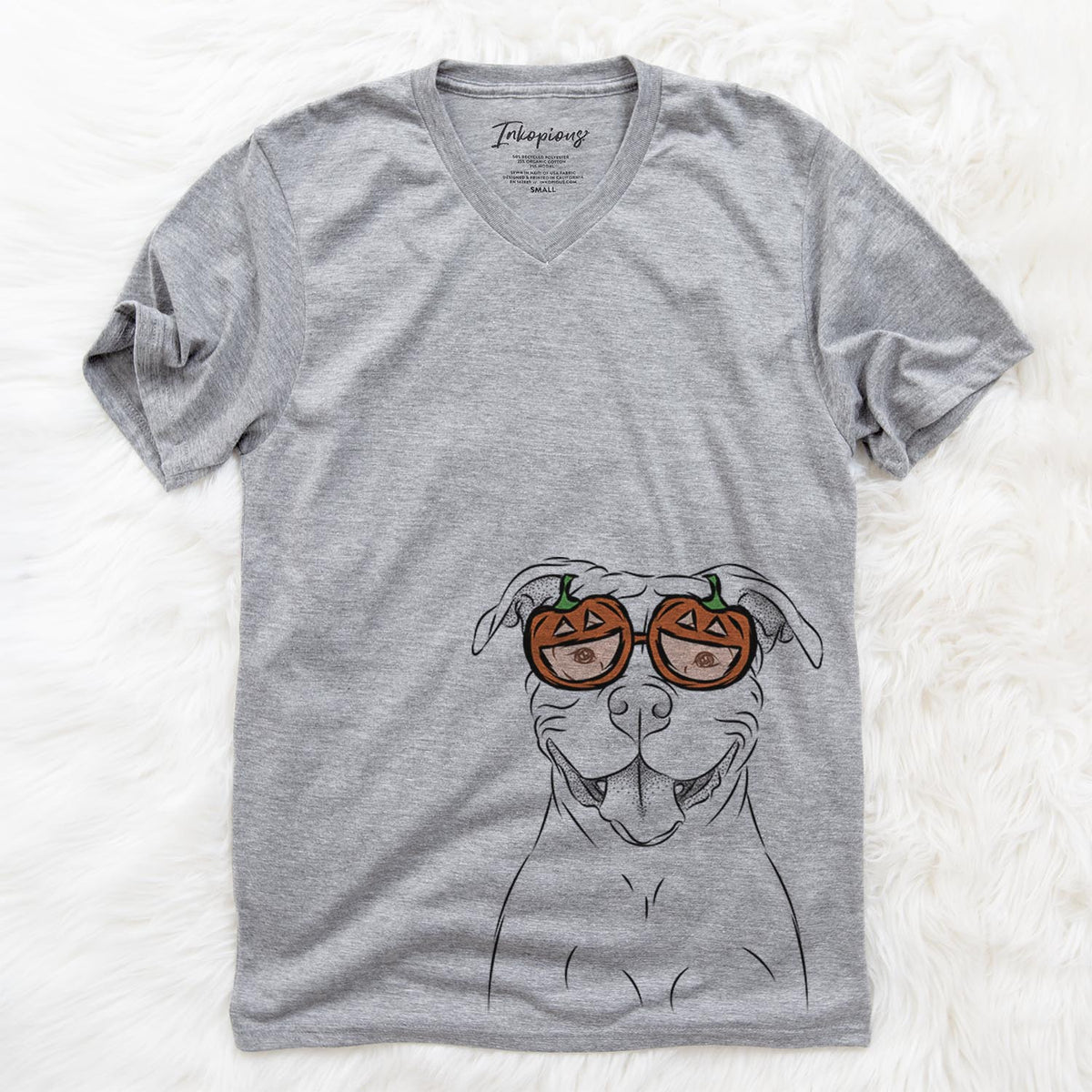 Tyson the American Bulldog  - Pumpkin Collection