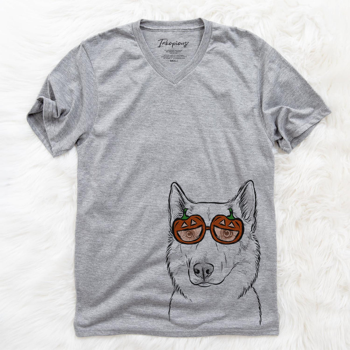 Vox the Siberian Husky  - Pumpkin Collection