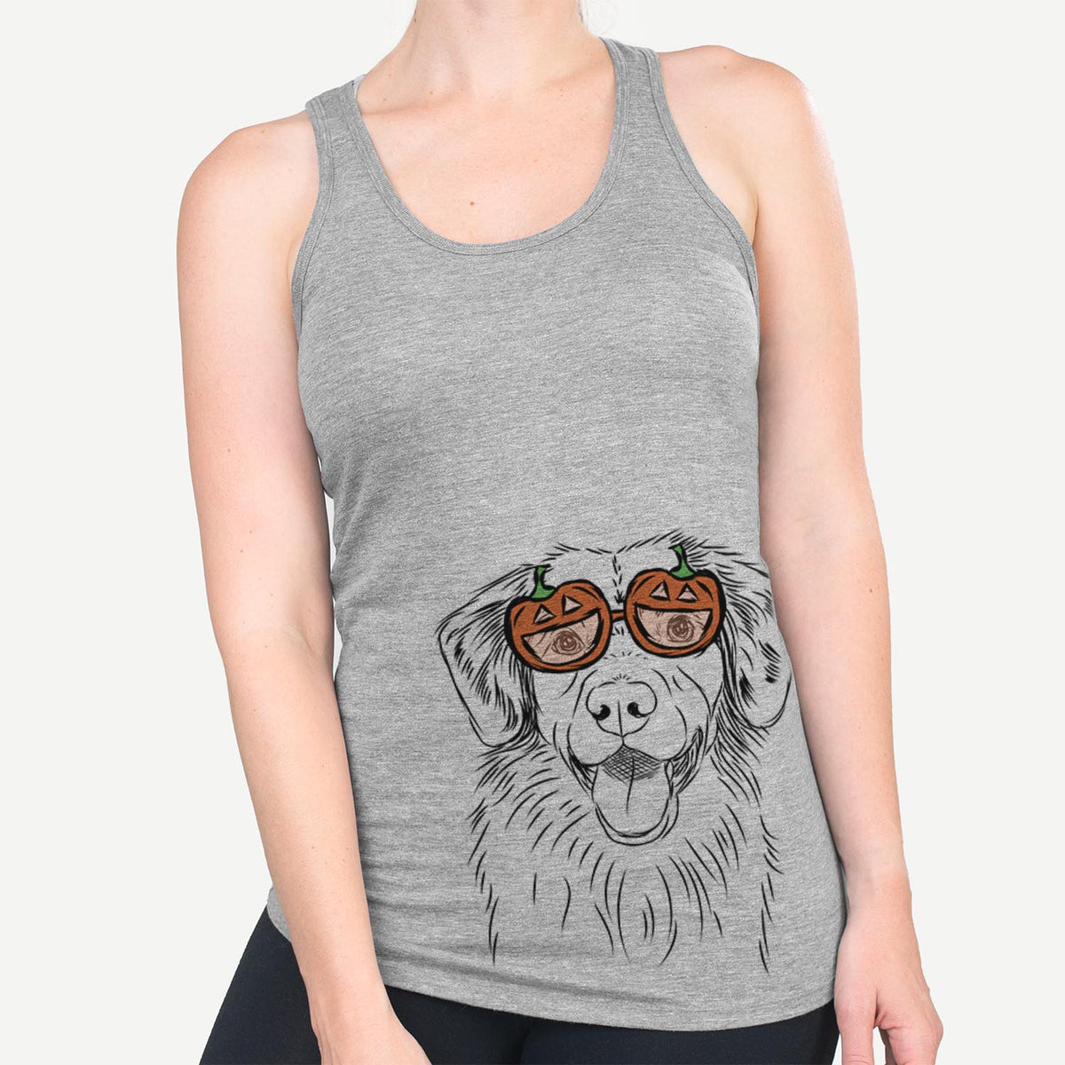 Weston the Nova Scotia Duck Tolling Retriever  - Pumpkin Collection