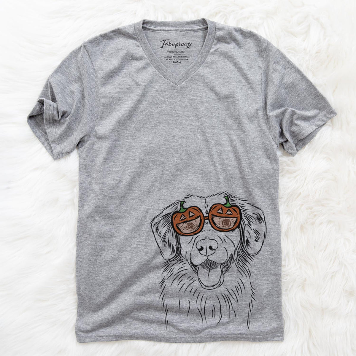 Weston the Nova Scotia Duck Tolling Retriever  - Pumpkin Collection