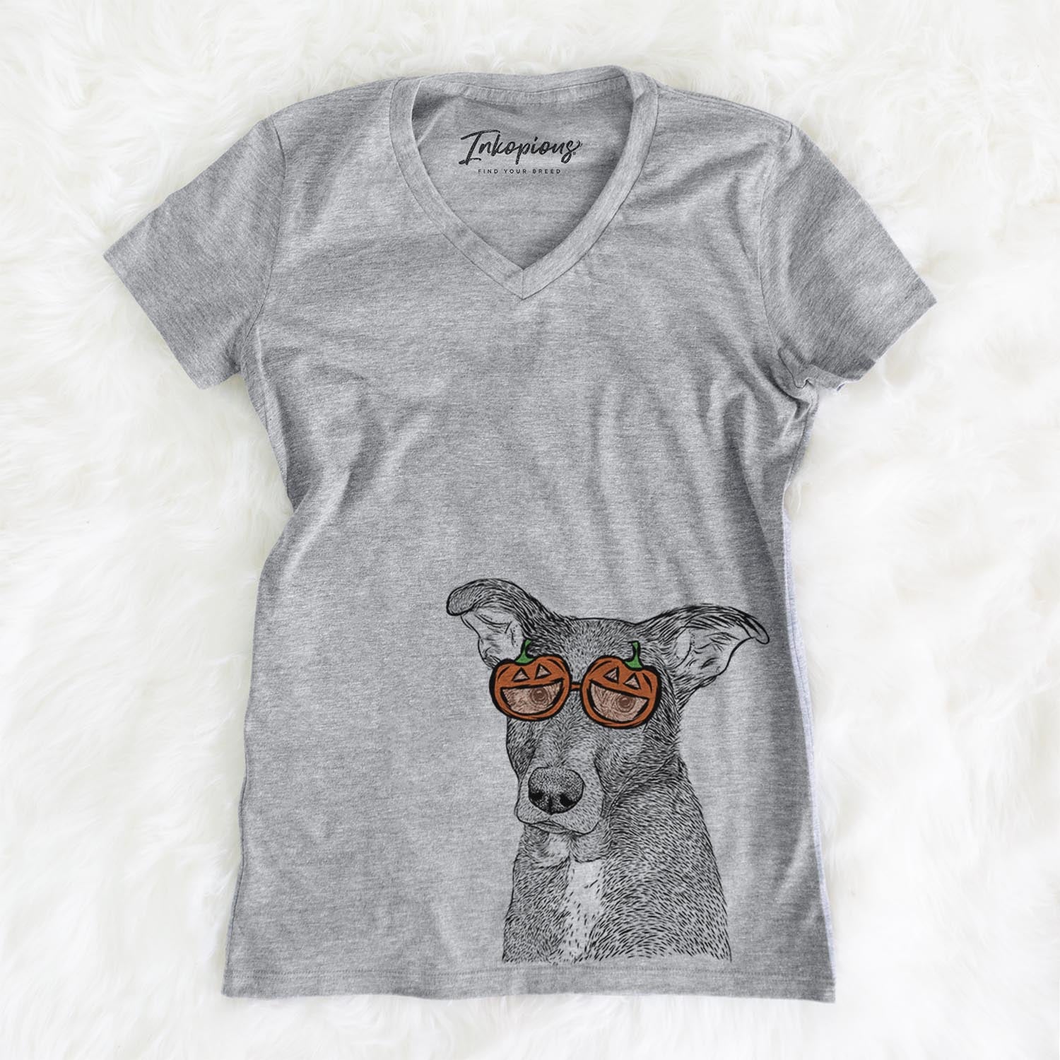 Wilbur the Shepherd Mix  - Pumpkin Collection