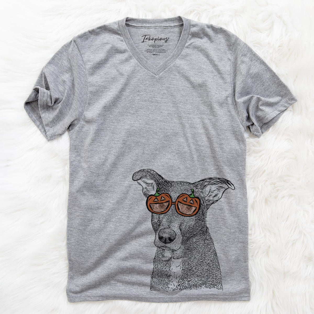 Wilbur the Shepherd Mix  - Pumpkin Collection