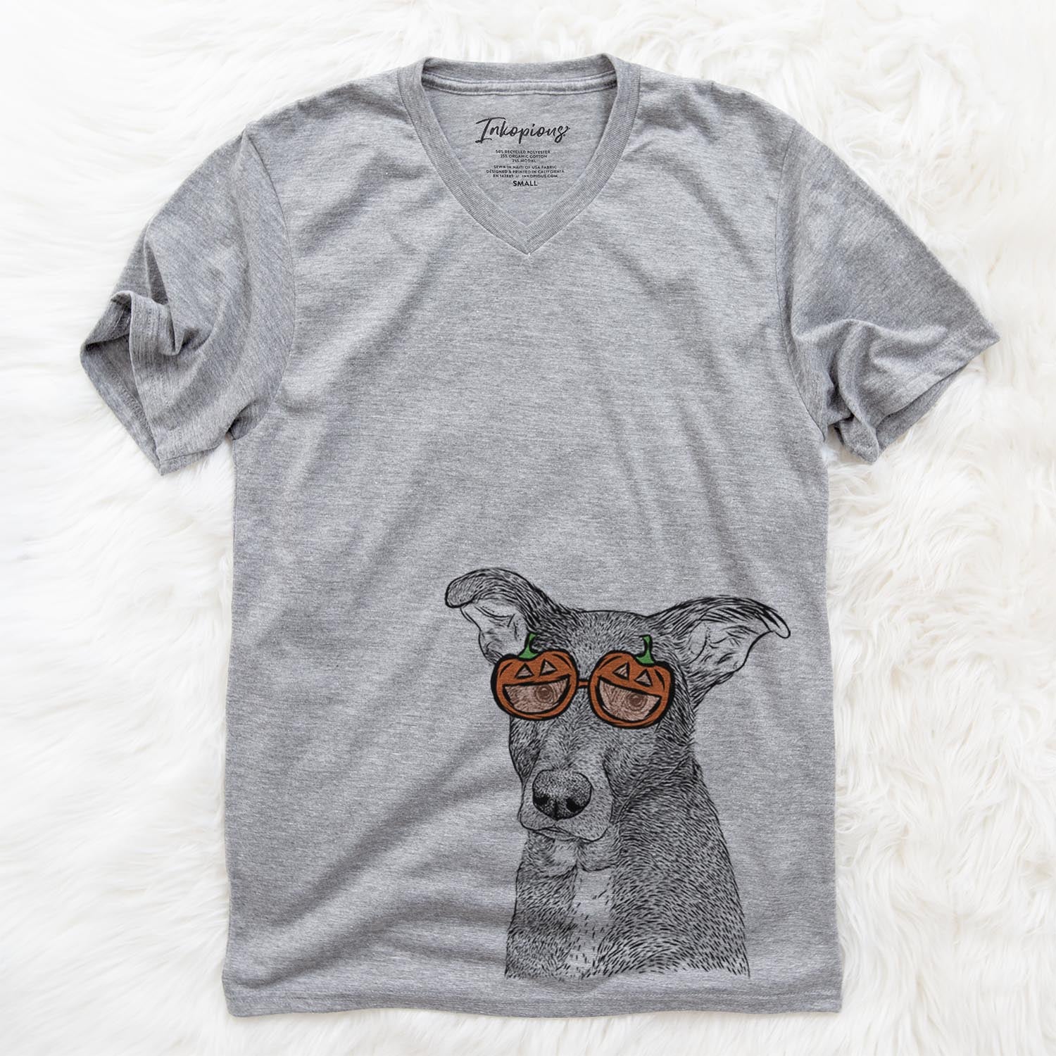 Wilbur the Shepherd Mix  - Pumpkin Collection