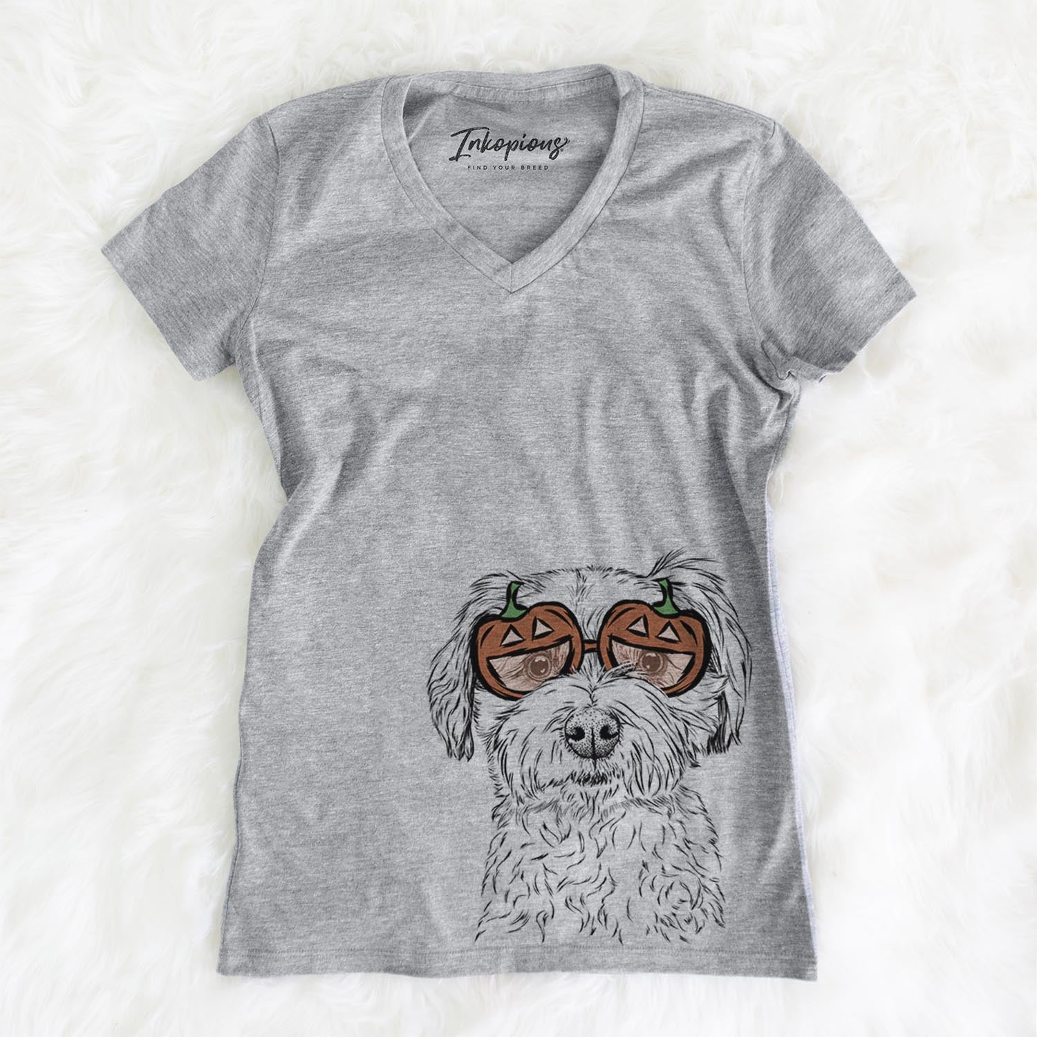 Wyatt the Coton de Tulear  - Pumpkin Collection