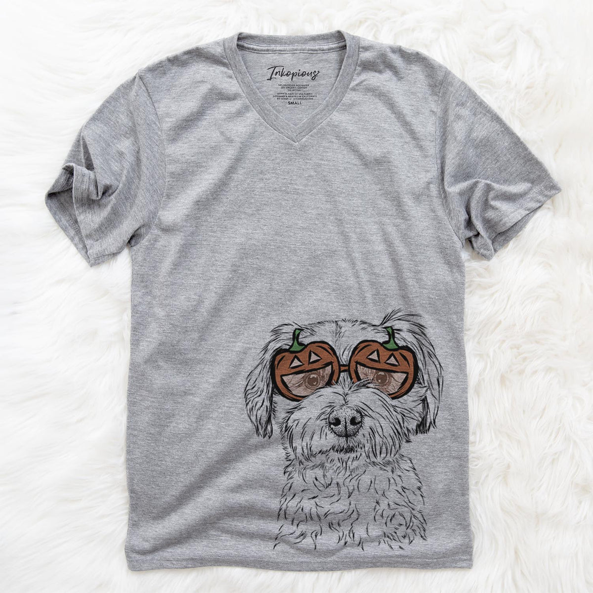 Wyatt the Coton de Tulear  - Pumpkin Collection