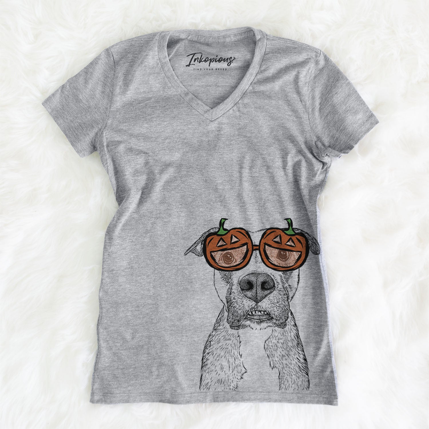 Xena the Mixed Breed  - Pumpkin Collection