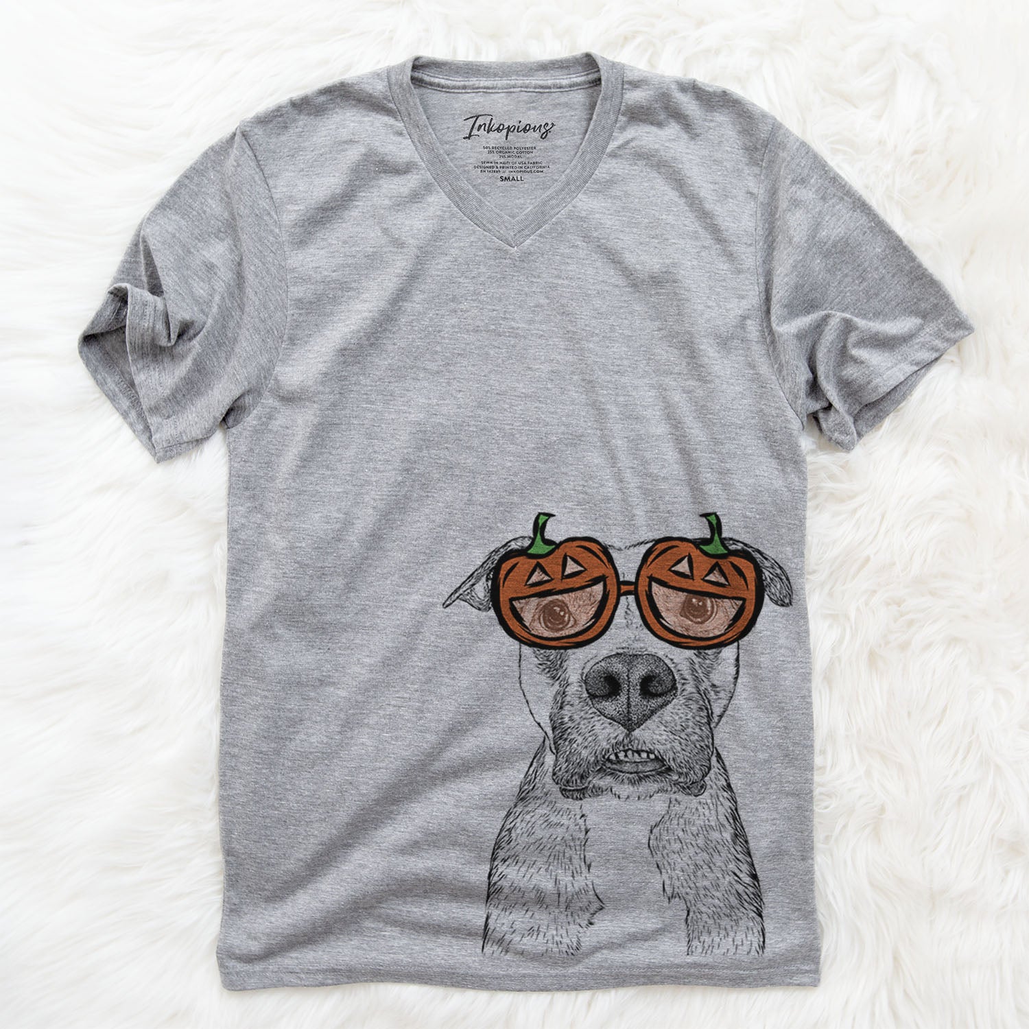 Xena the Mixed Breed  - Pumpkin Collection