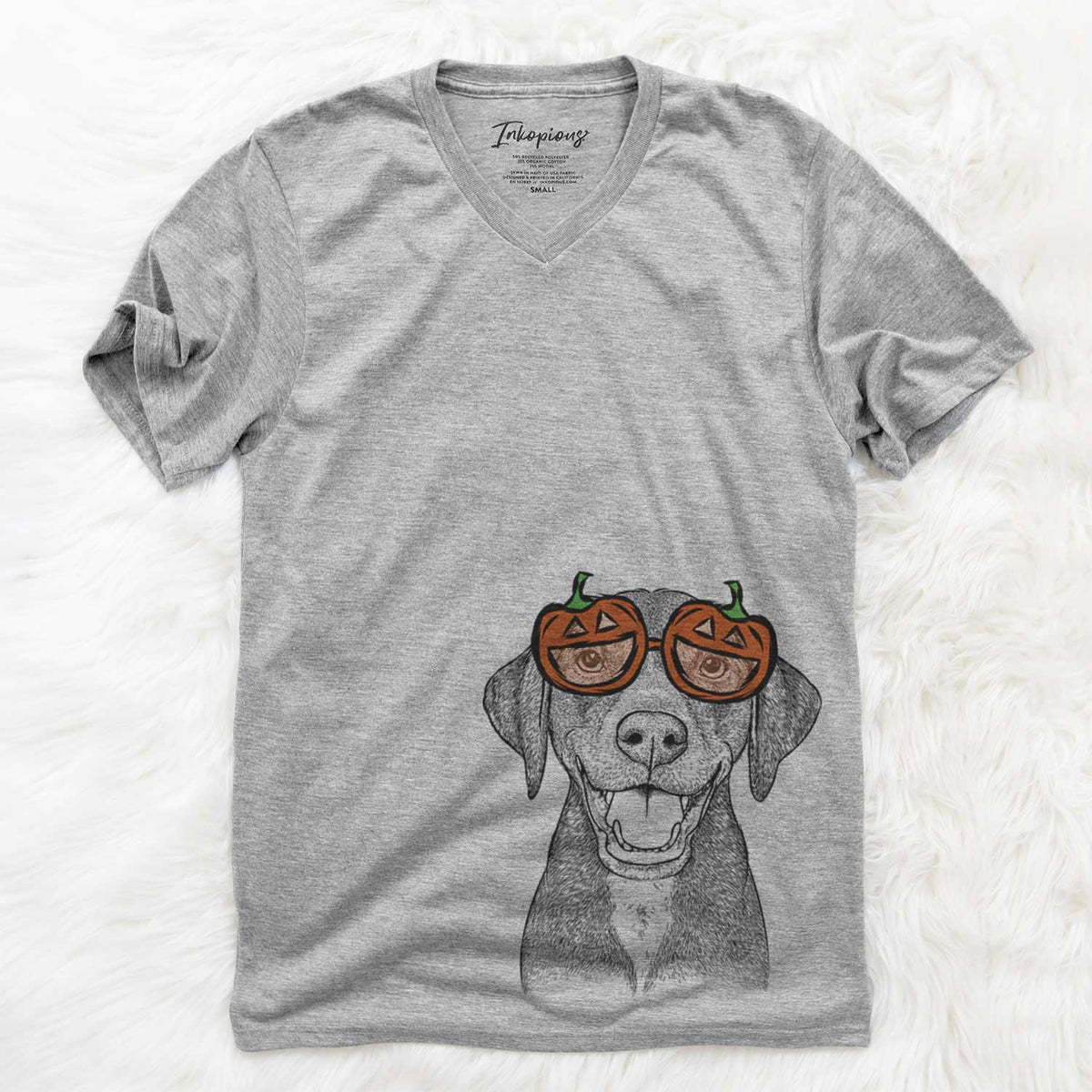 Beaver the Hound Mix  - Pumpkin Collection