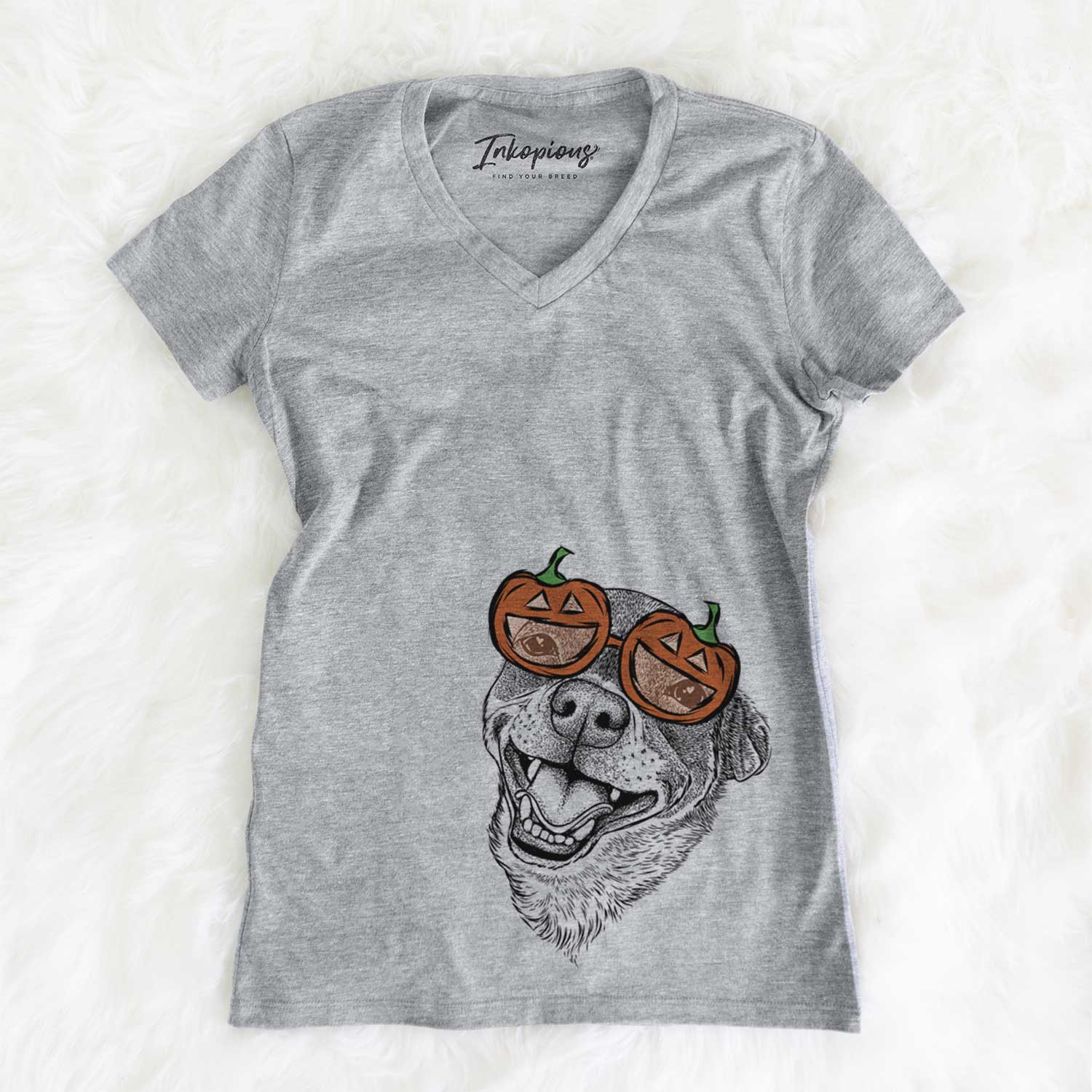 Boss the Chihuahua  - Pumpkin Collection