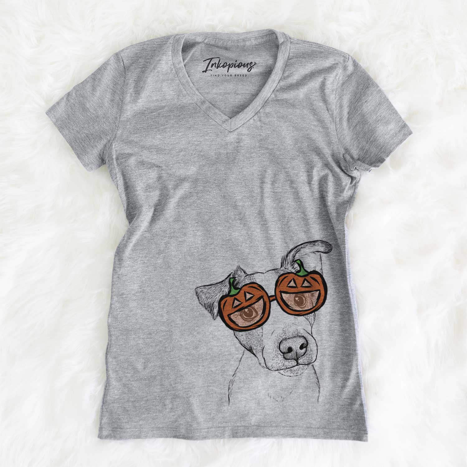 Bosse the Jack Russell Terrier  - Pumpkin Collection