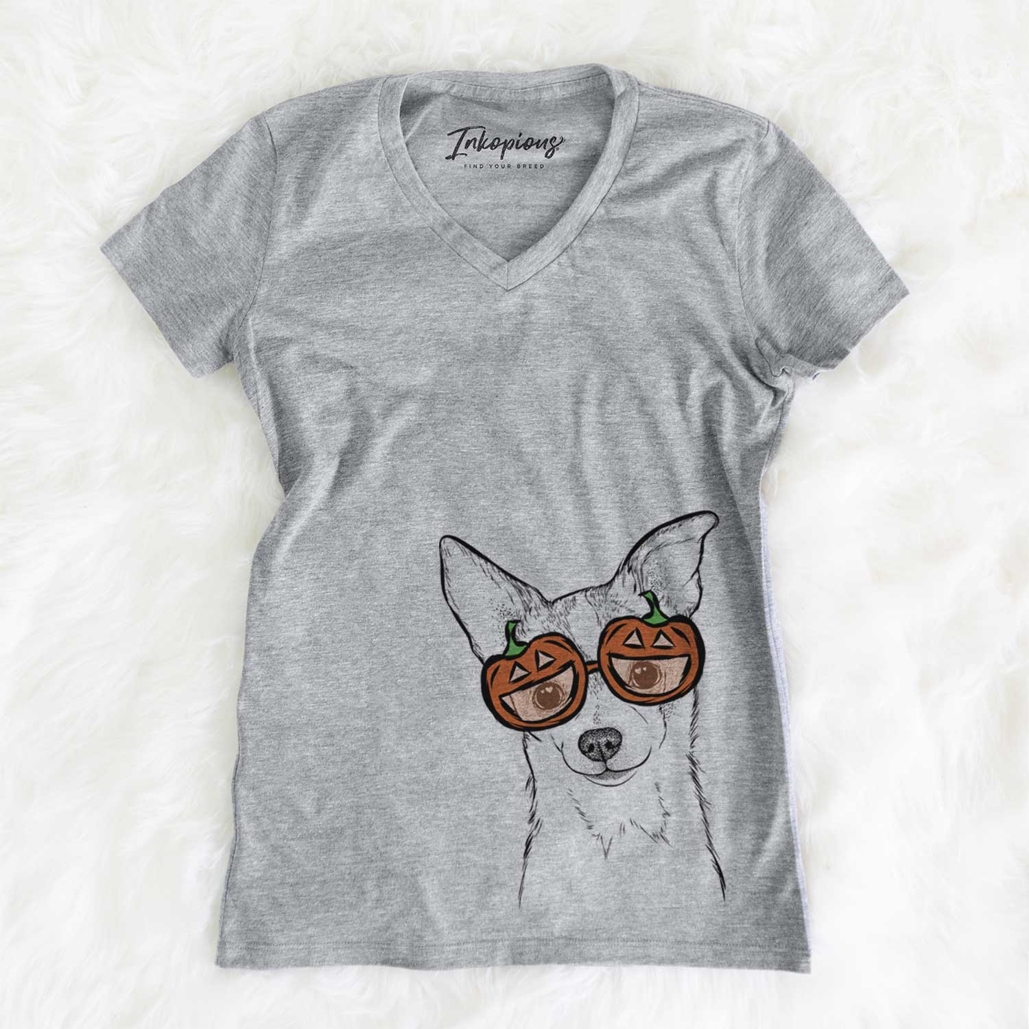 Buggy the Chihuahua  - Pumpkin Collection