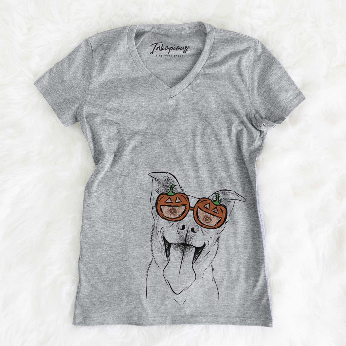 Candy the Mixed Breed  - Pumpkin Collection