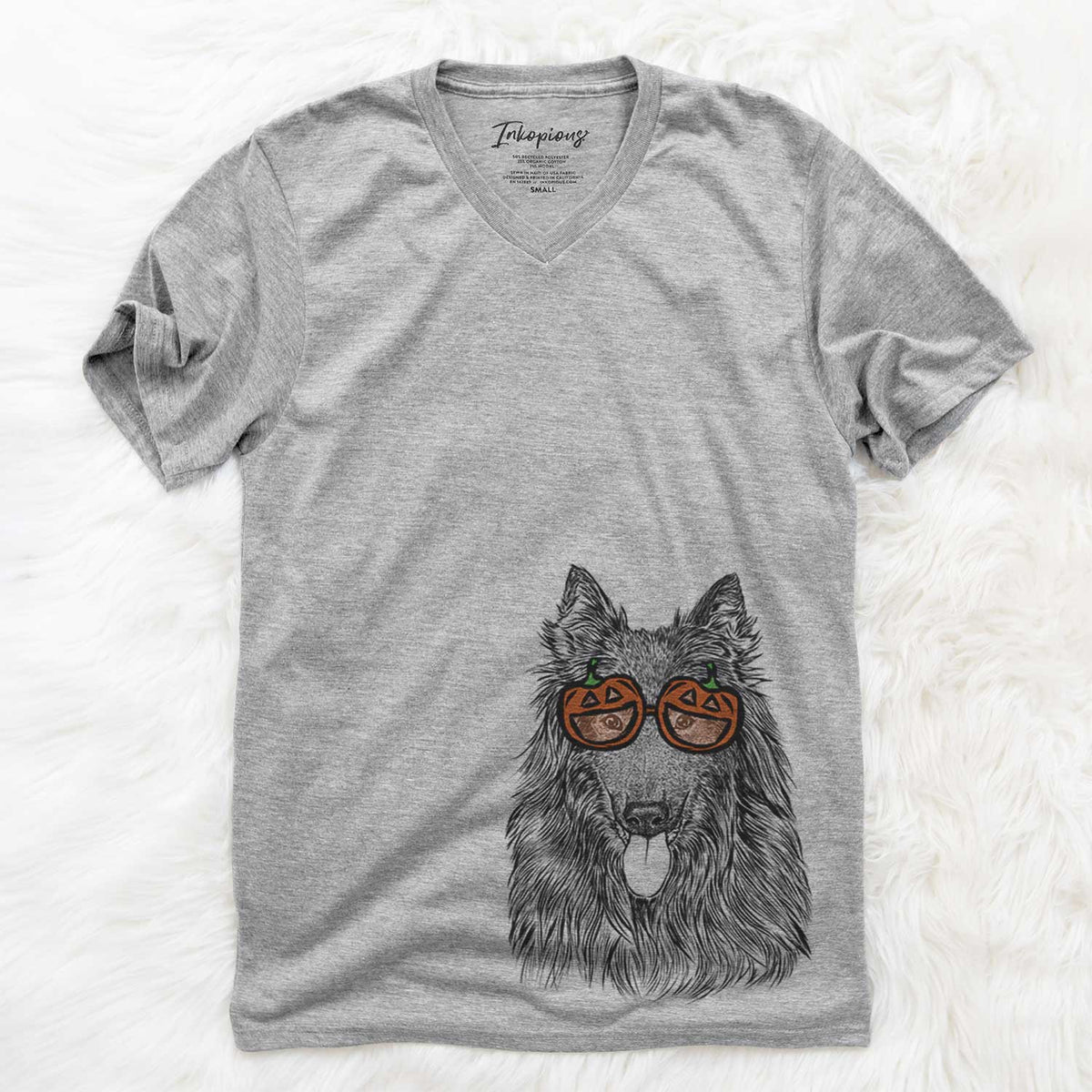 Daan the Belgian Shepherd  - Pumpkin Collection