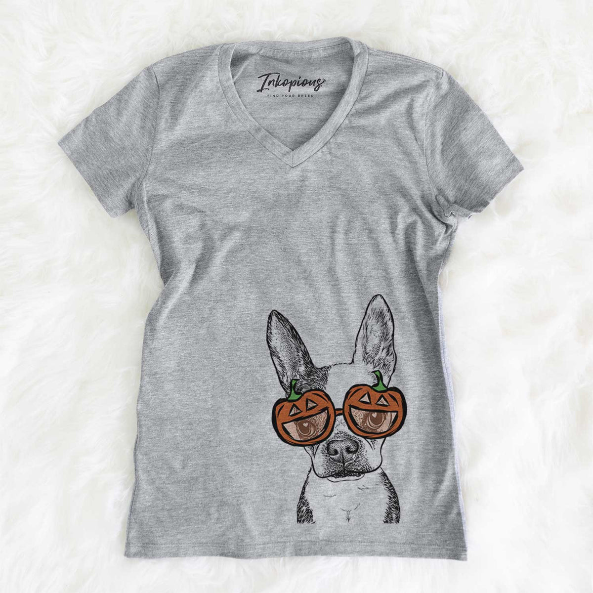 Daisy the Boston Terrier  - Pumpkin Collection