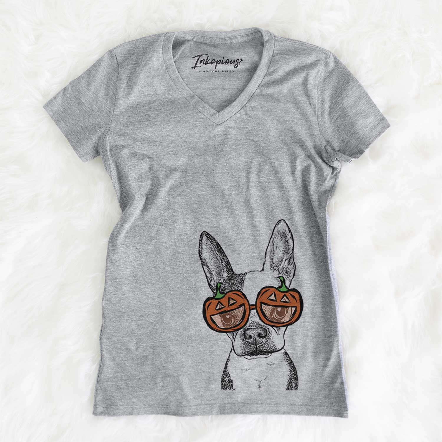 Daisy the Boston Terrier  - Pumpkin Collection