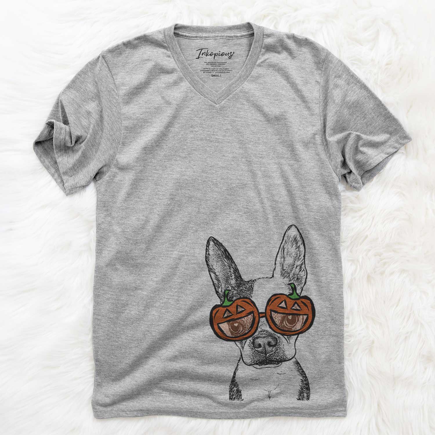 Daisy the Boston Terrier  - Pumpkin Collection