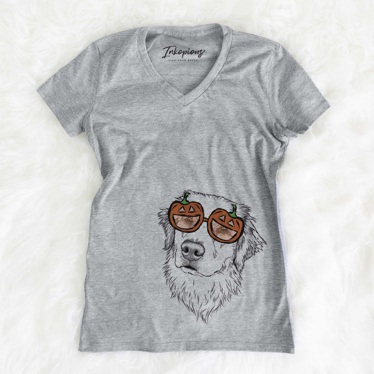 Fiona the Golden Retreiver  - Pumpkin Collection