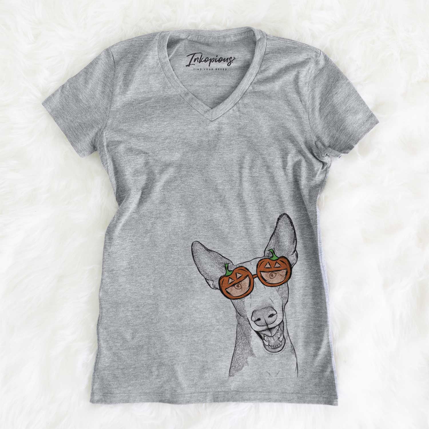 Havok the Ibizan Hound  - Pumpkin Collection