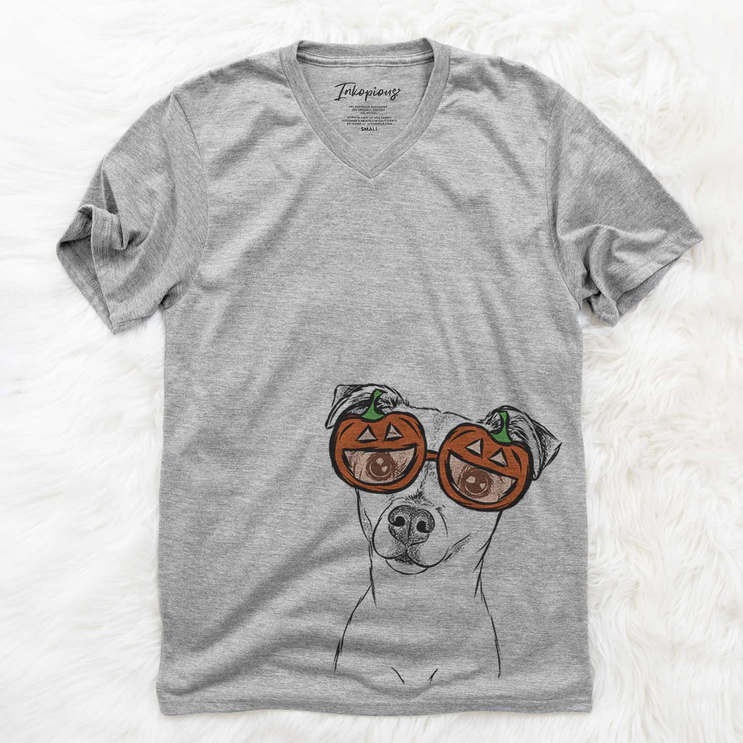 Izzy the Chiweenie  - Pumpkin Collection