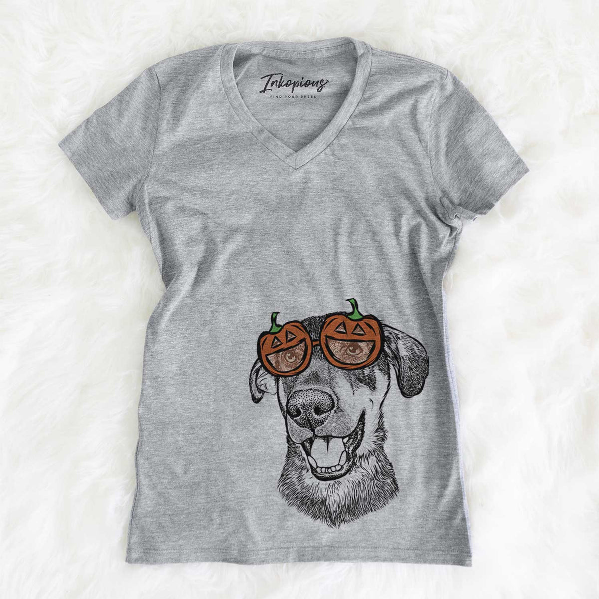 Jet the Mixed Breed  - Pumpkin Collection