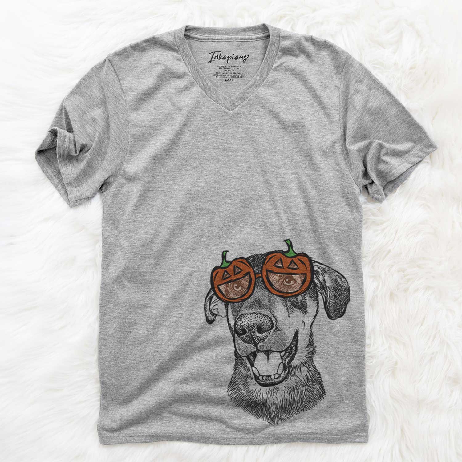 Jet the Mixed Breed  - Pumpkin Collection