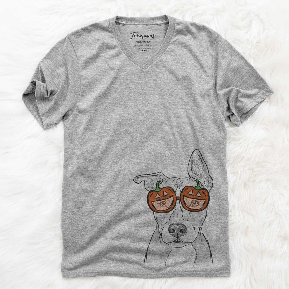 Kisses the Pitbull  - Pumpkin Collection