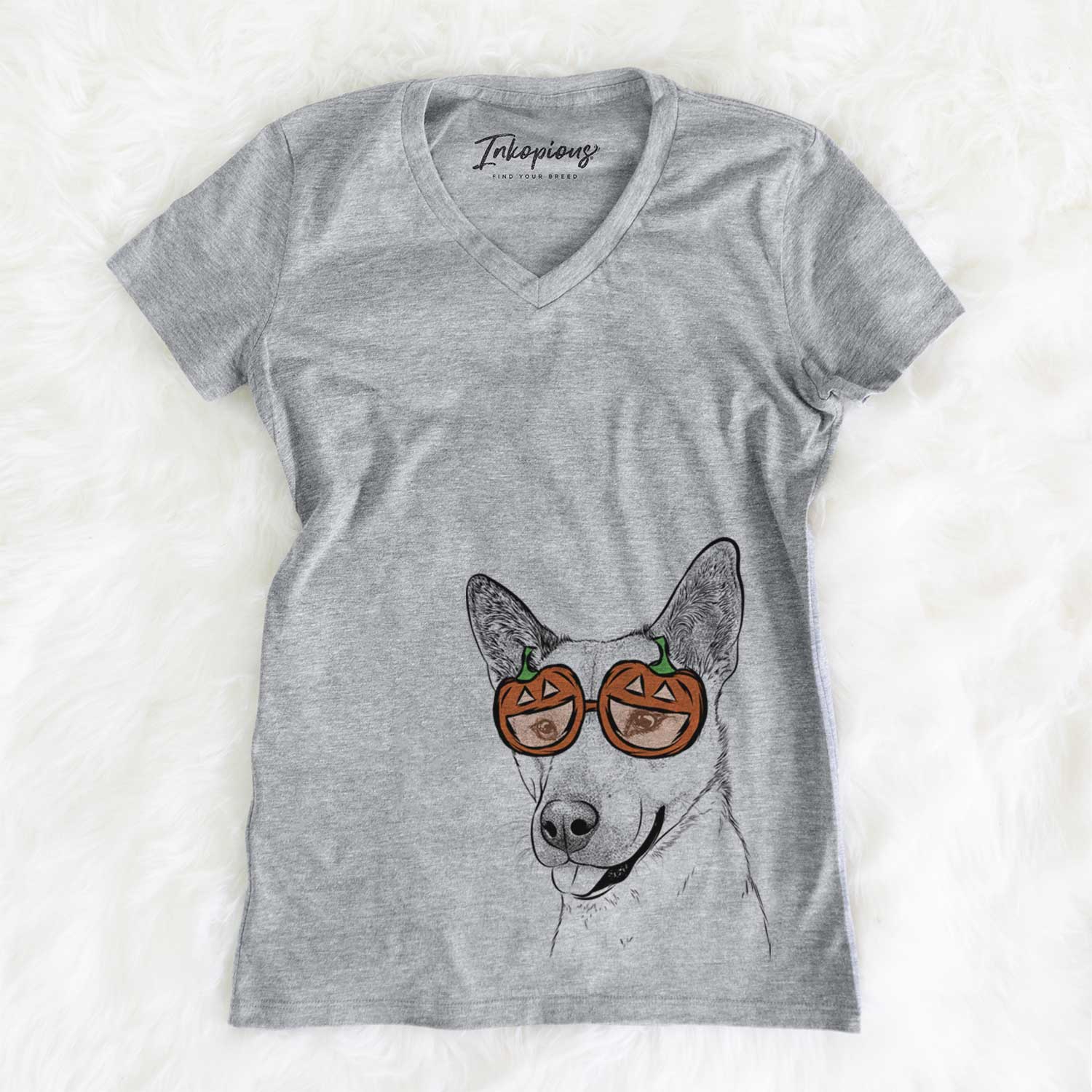 Kulfi the Jindo Shiba Inu Mix  - Pumpkin Collection