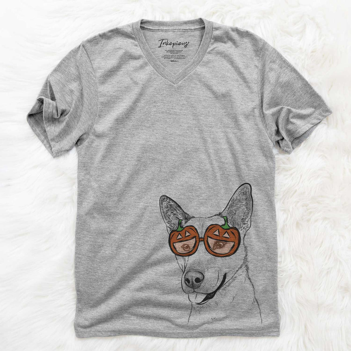 Kulfi the Jindo Shiba Inu Mix  - Pumpkin Collection