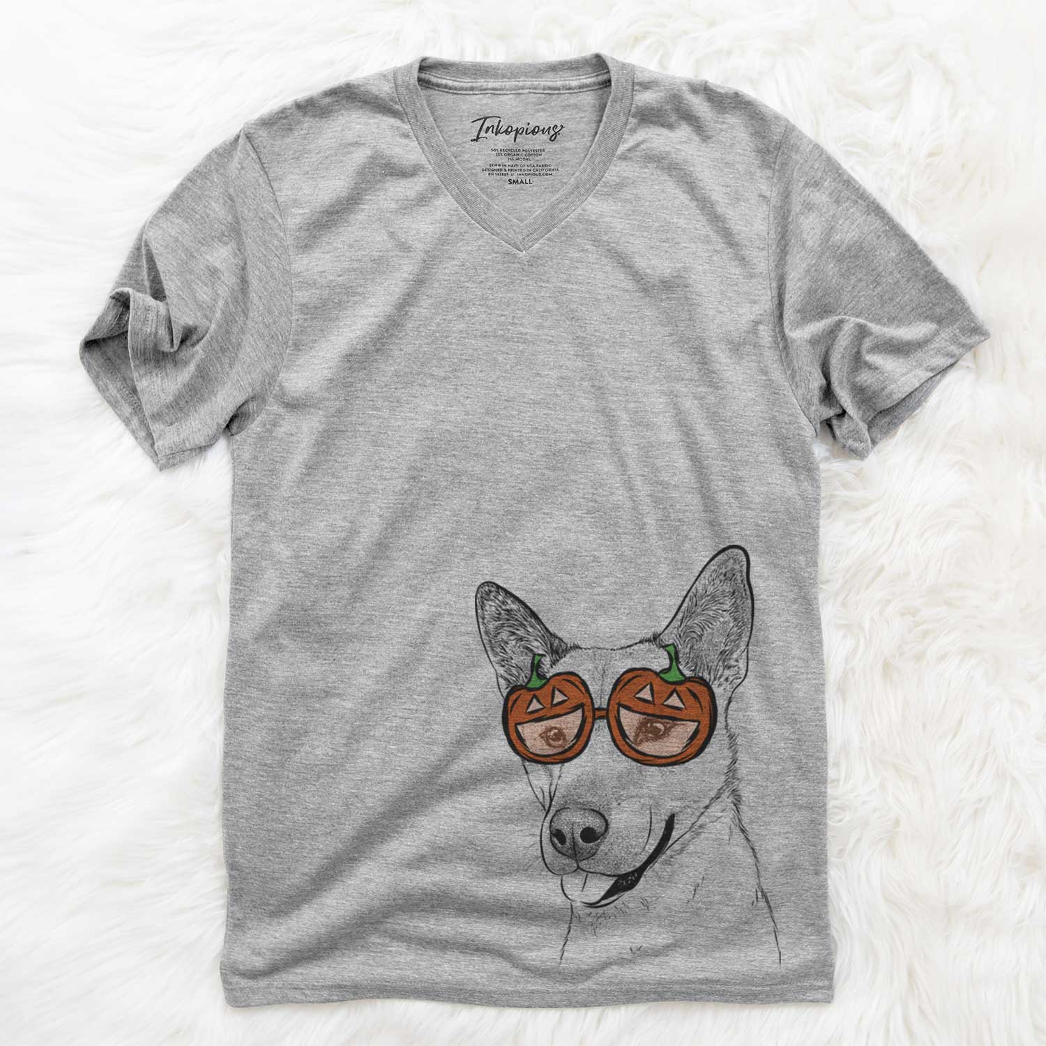 Kulfi the Jindo Shiba Inu Mix  - Pumpkin Collection