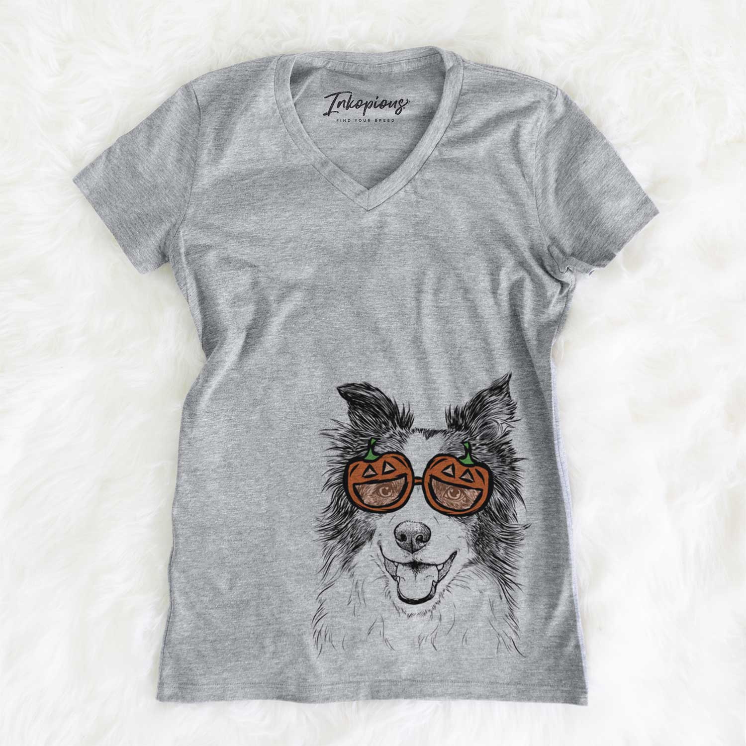 Kylee the Border Collie  - Pumpkin Collection