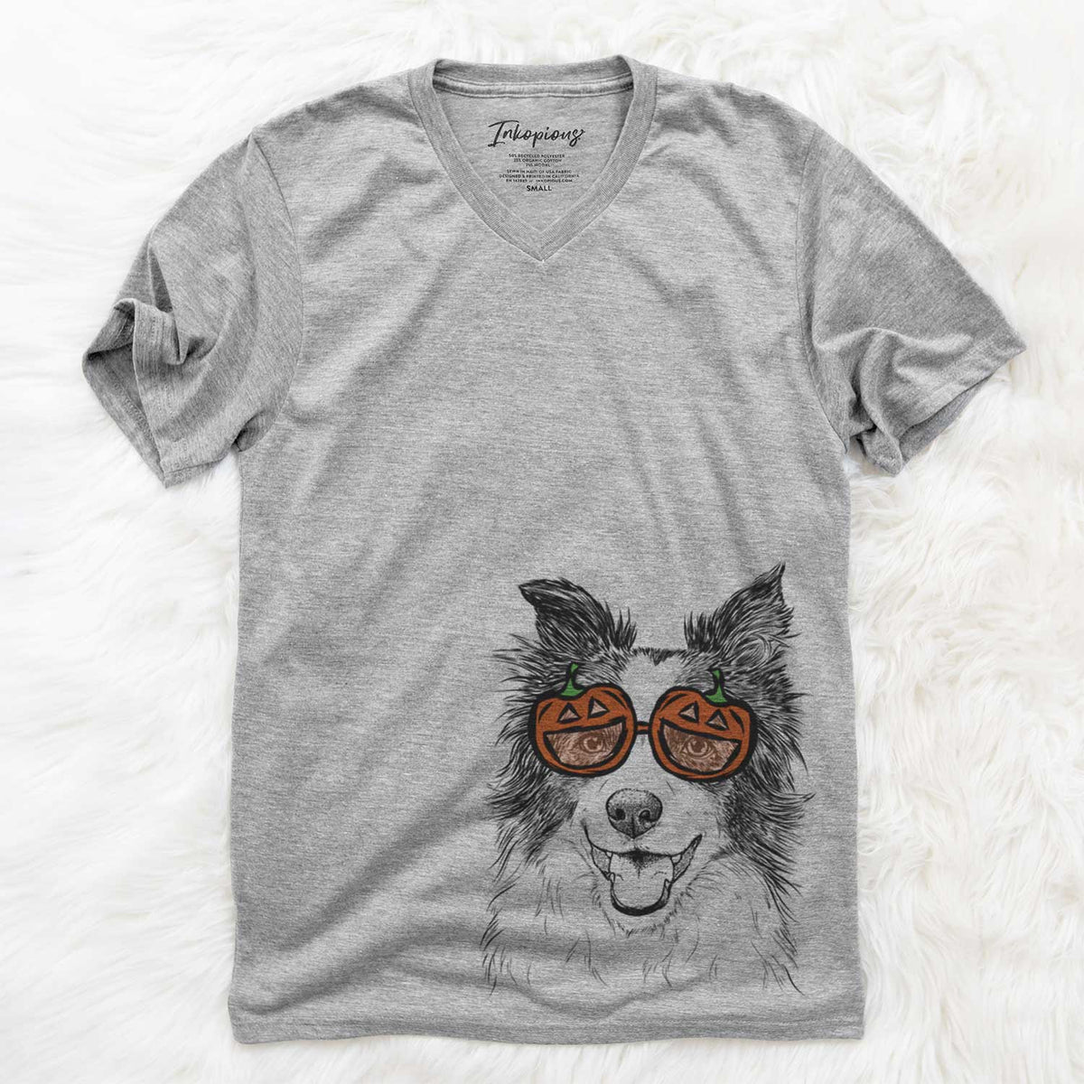 Kylee the Border Collie  - Pumpkin Collection