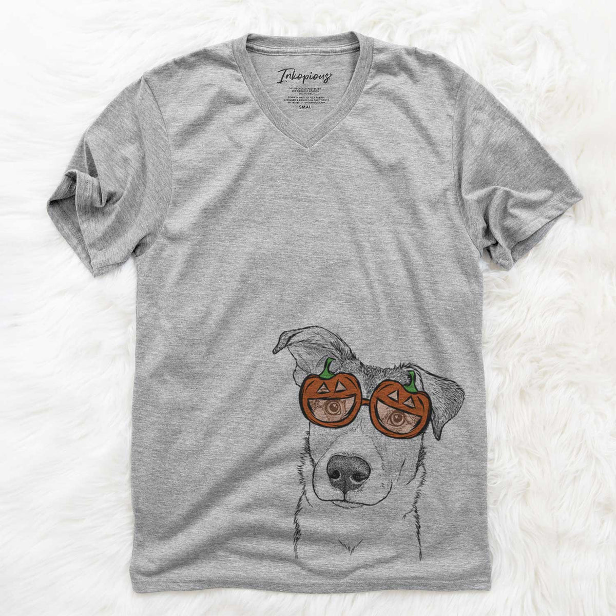 Leia the Mixed Breed  - Pumpkin Collection