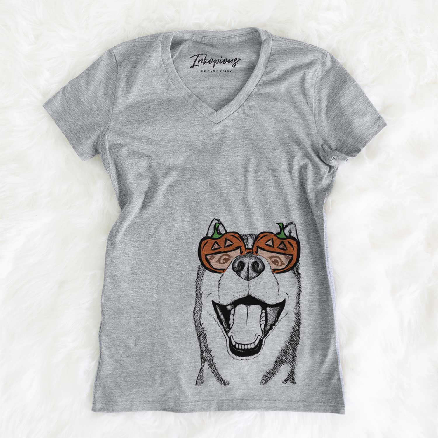 Little Country the Siberian Husky  - Pumpkin Collection