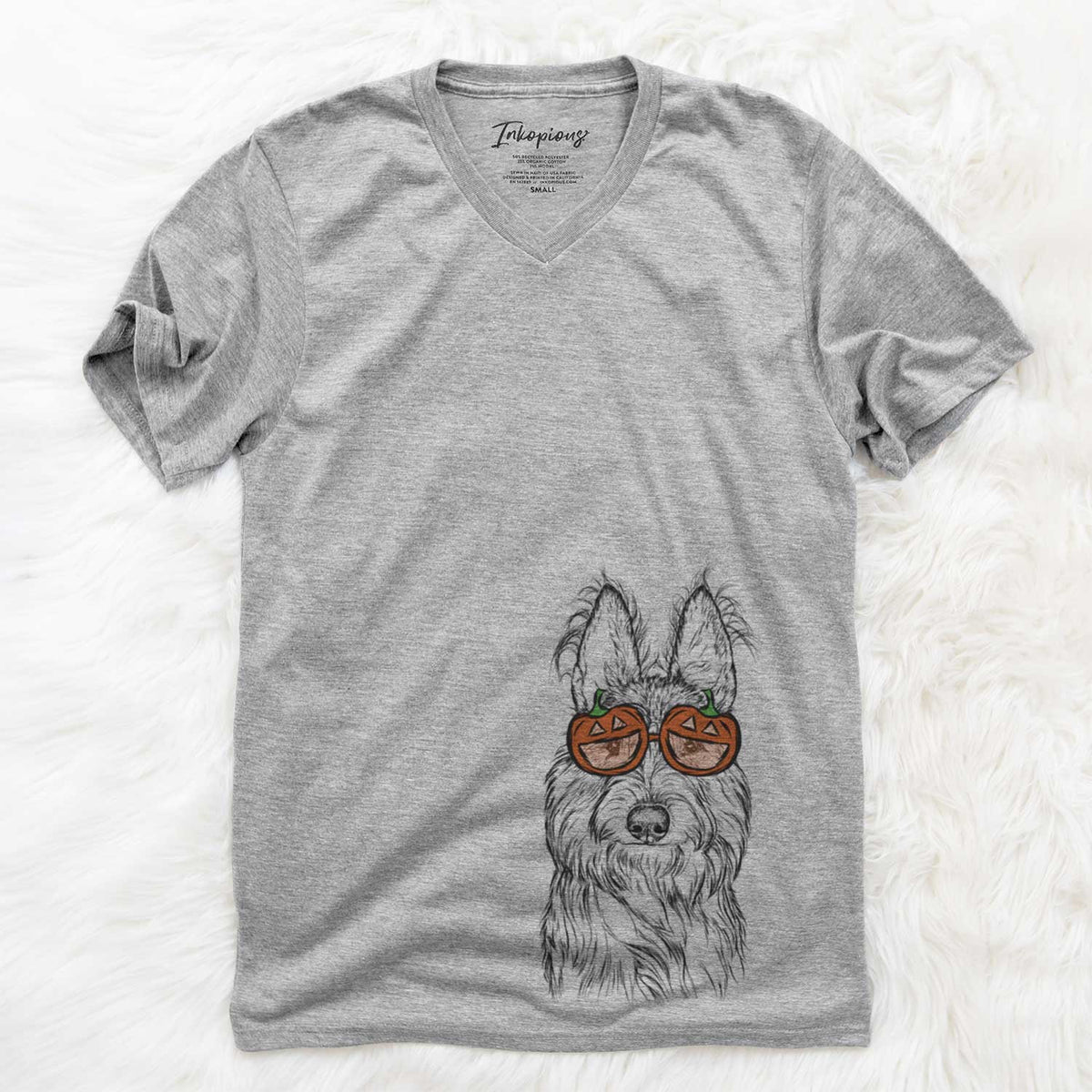 Luna the Berger Picard  - Pumpkin Collection