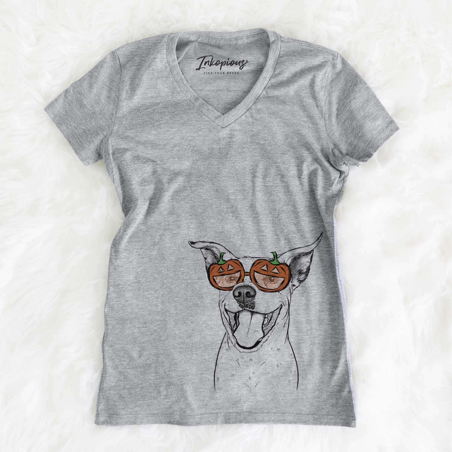 Maddie the Dalmatian Pitbull Mix  - Pumpkin Collection