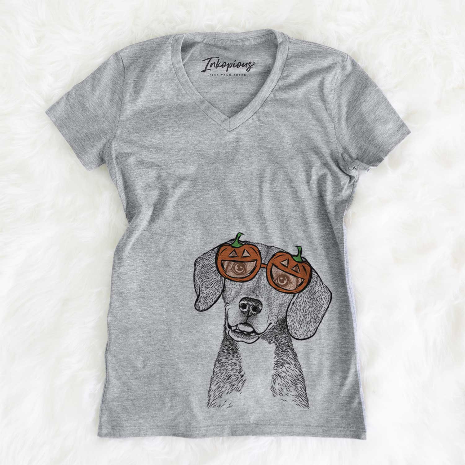 Pig the Beagle Mix  - Pumpkin Collection