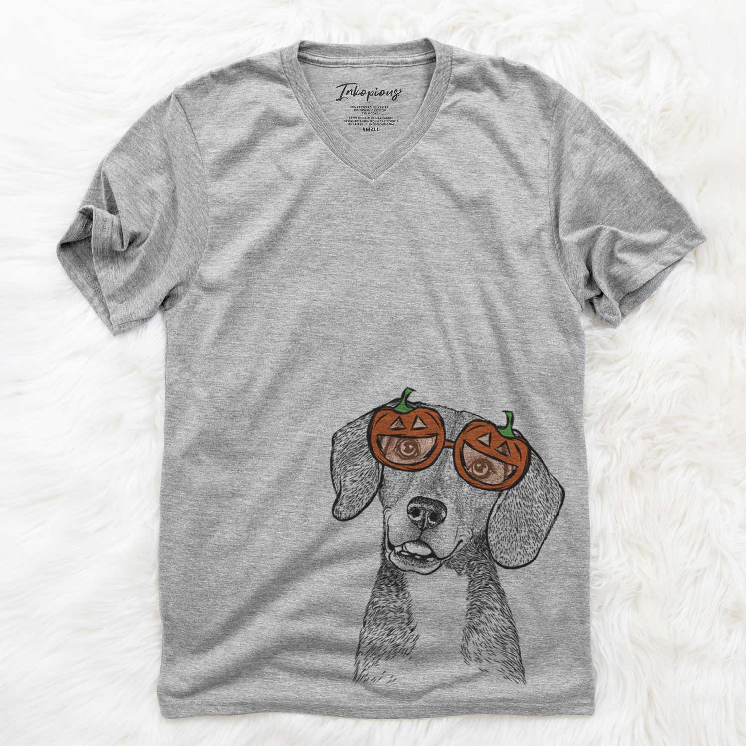 Pig the Beagle Mix  - Pumpkin Collection