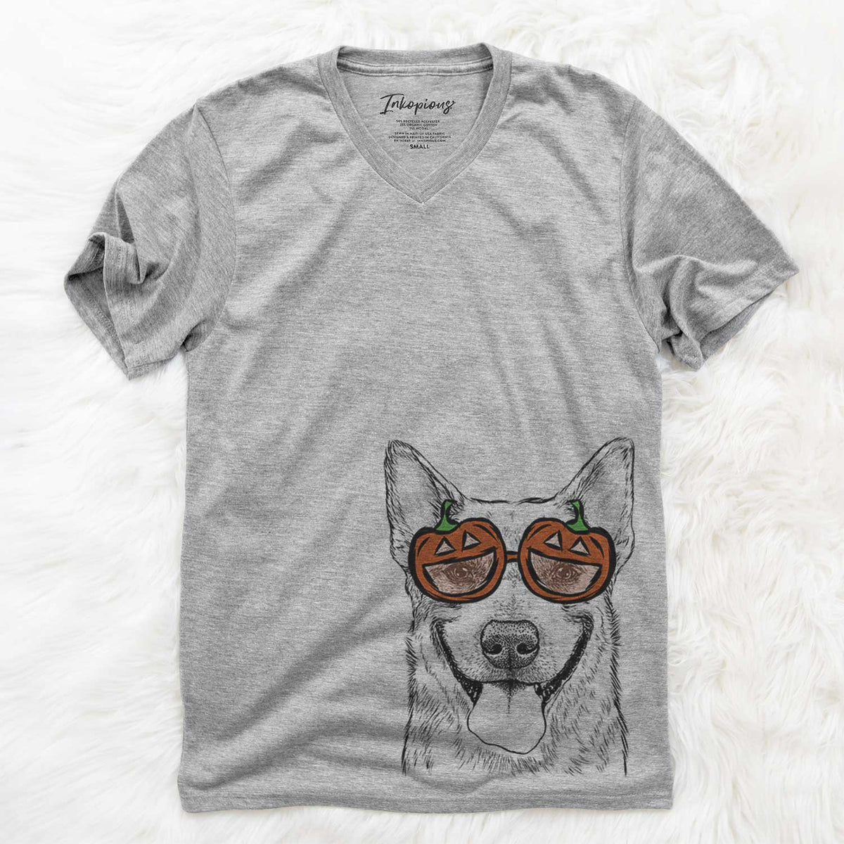 Rio the Australian Cattle Dog  - Pumpkin Collection