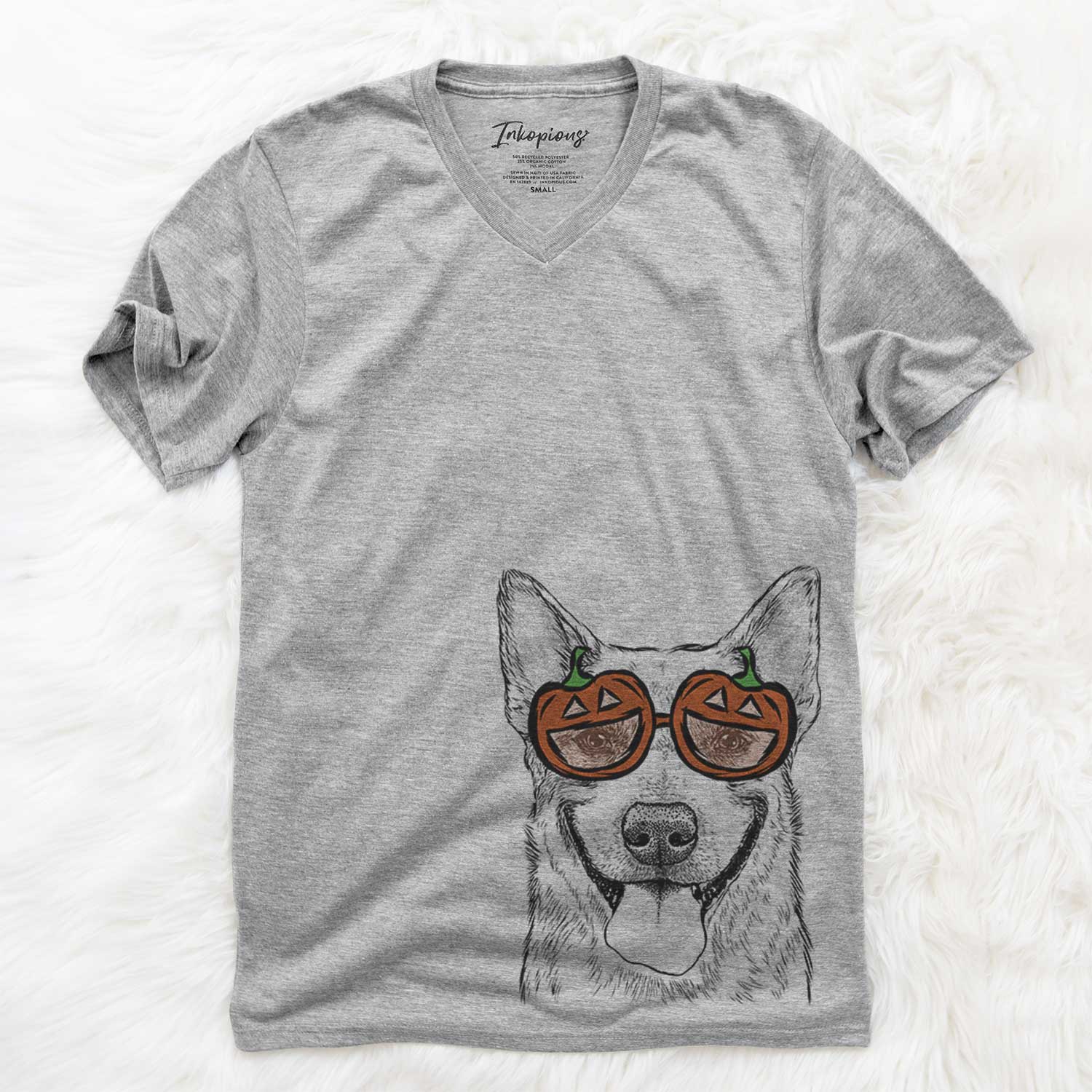 Rio the Australian Cattle Dog  - Pumpkin Collection