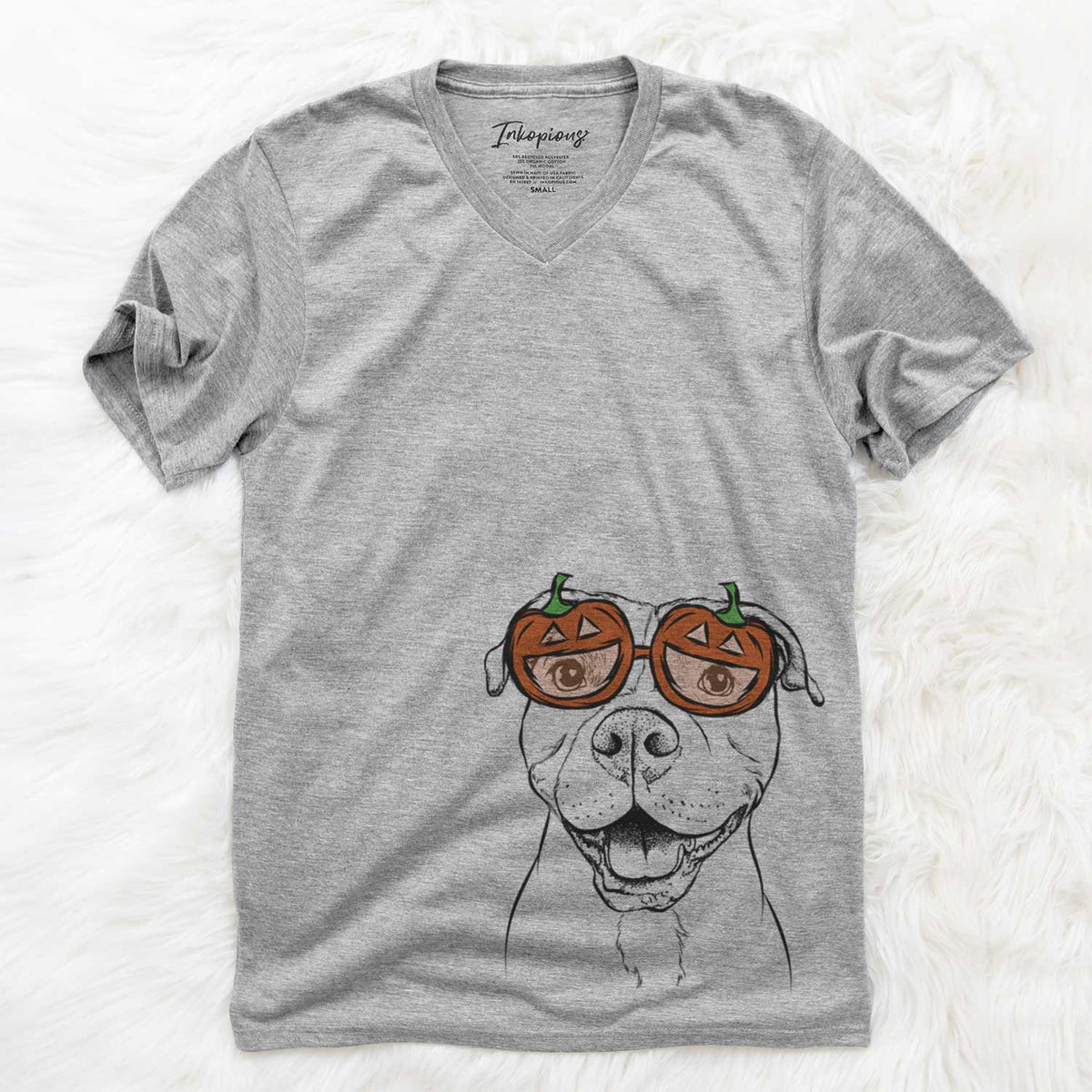 Roscoe the Pitbull  - Pumpkin Collection