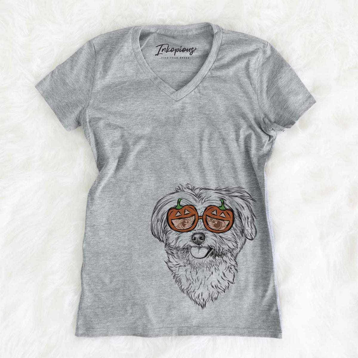 Rosie the Maltipoo  - Pumpkin Collection