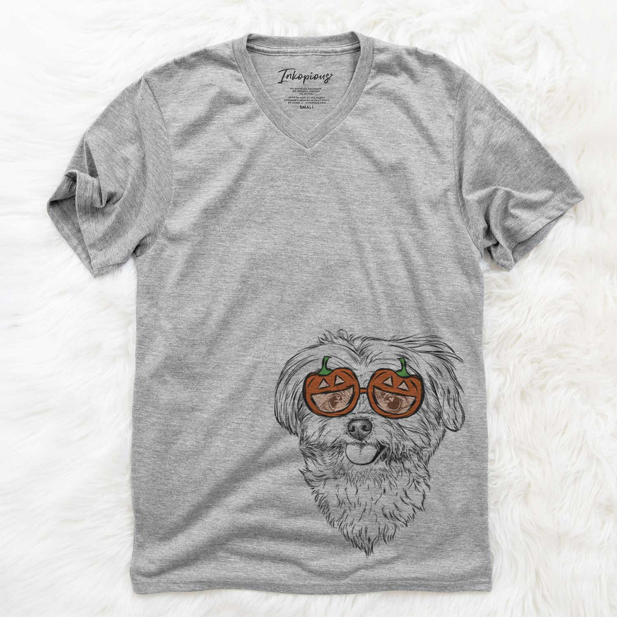 Rosie the Maltipoo  - Pumpkin Collection