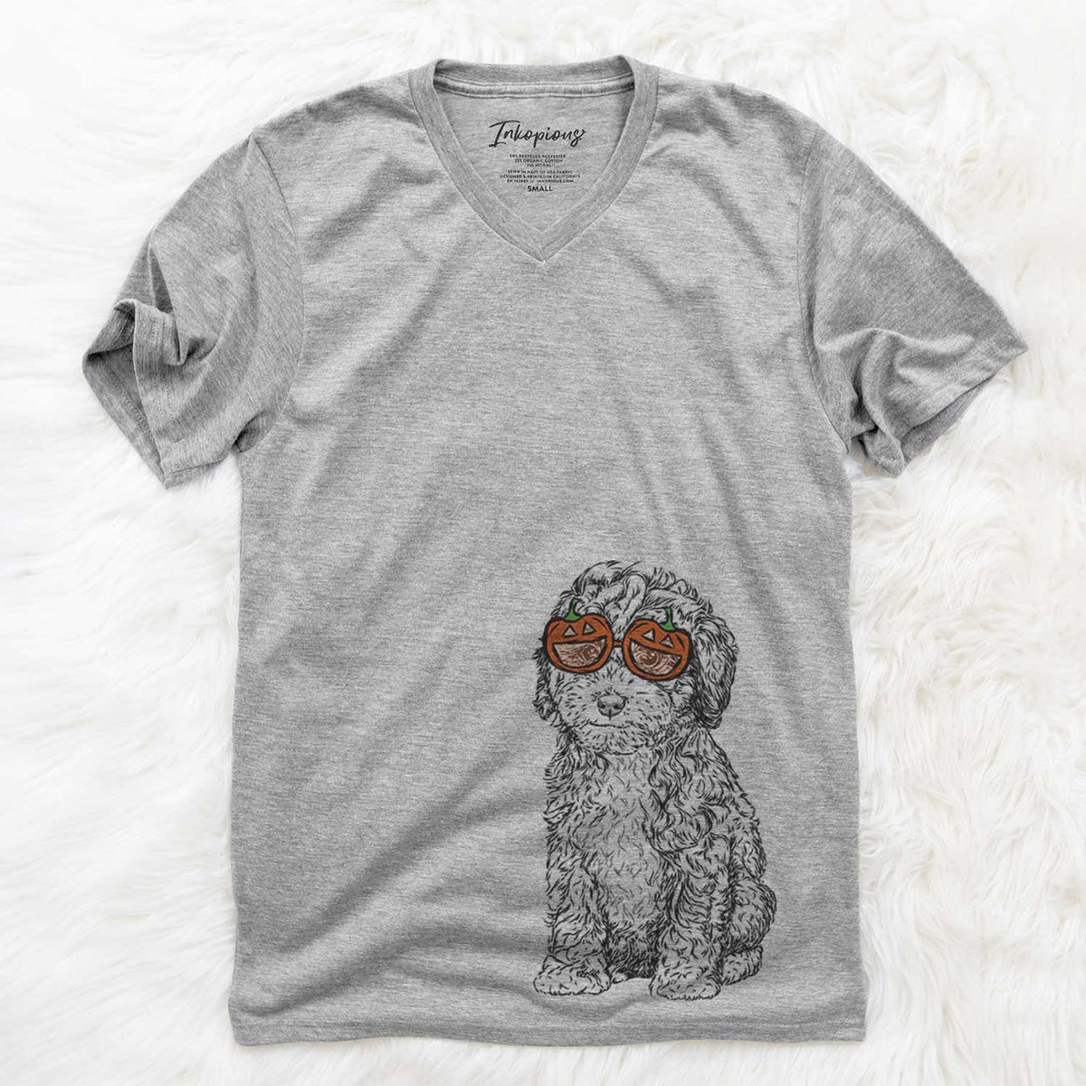 Sweet Tea the Mini Doodle  - Pumpkin Collection