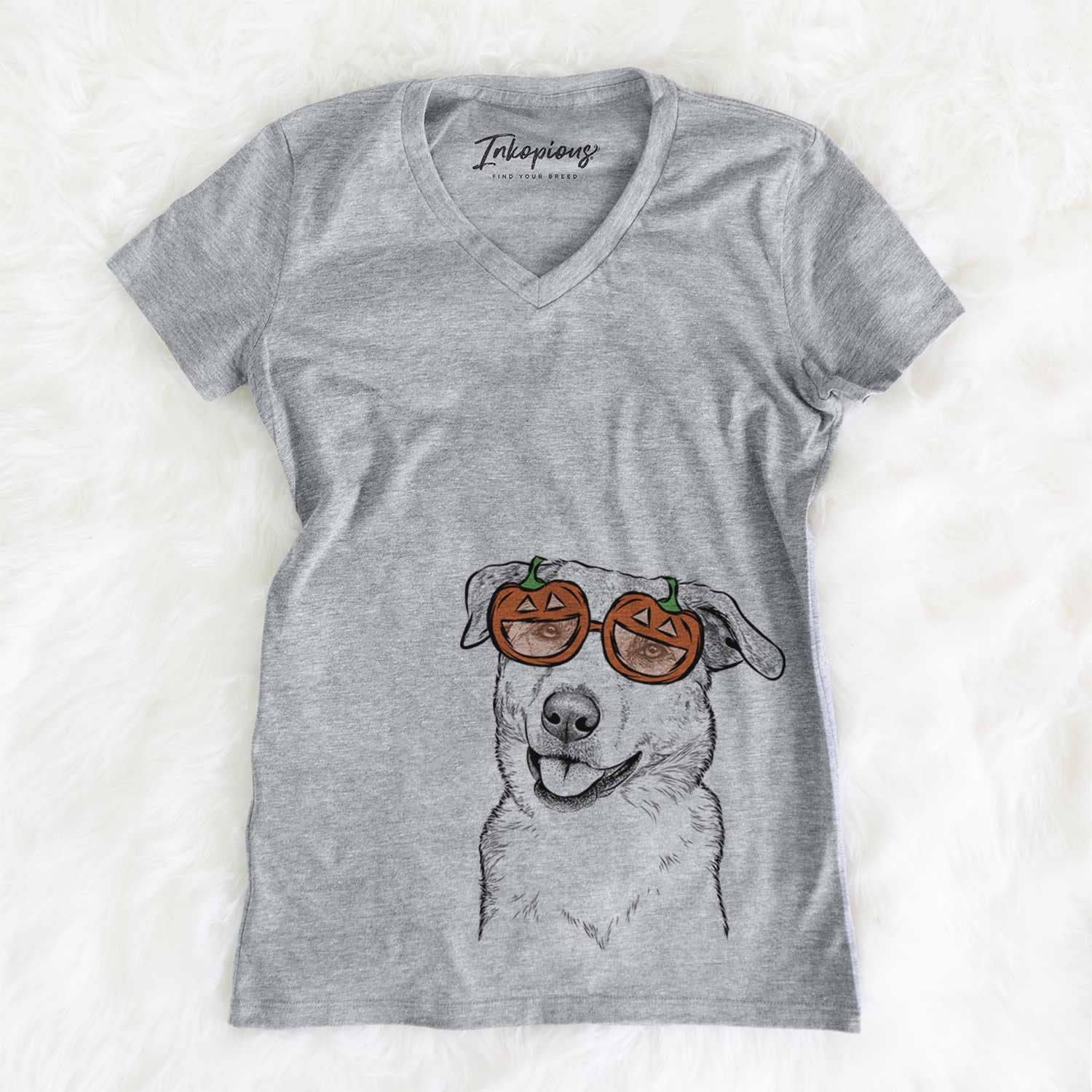 Sydney the Great Pyrenees Australian Shepherd Mix  - Pumpkin Collection