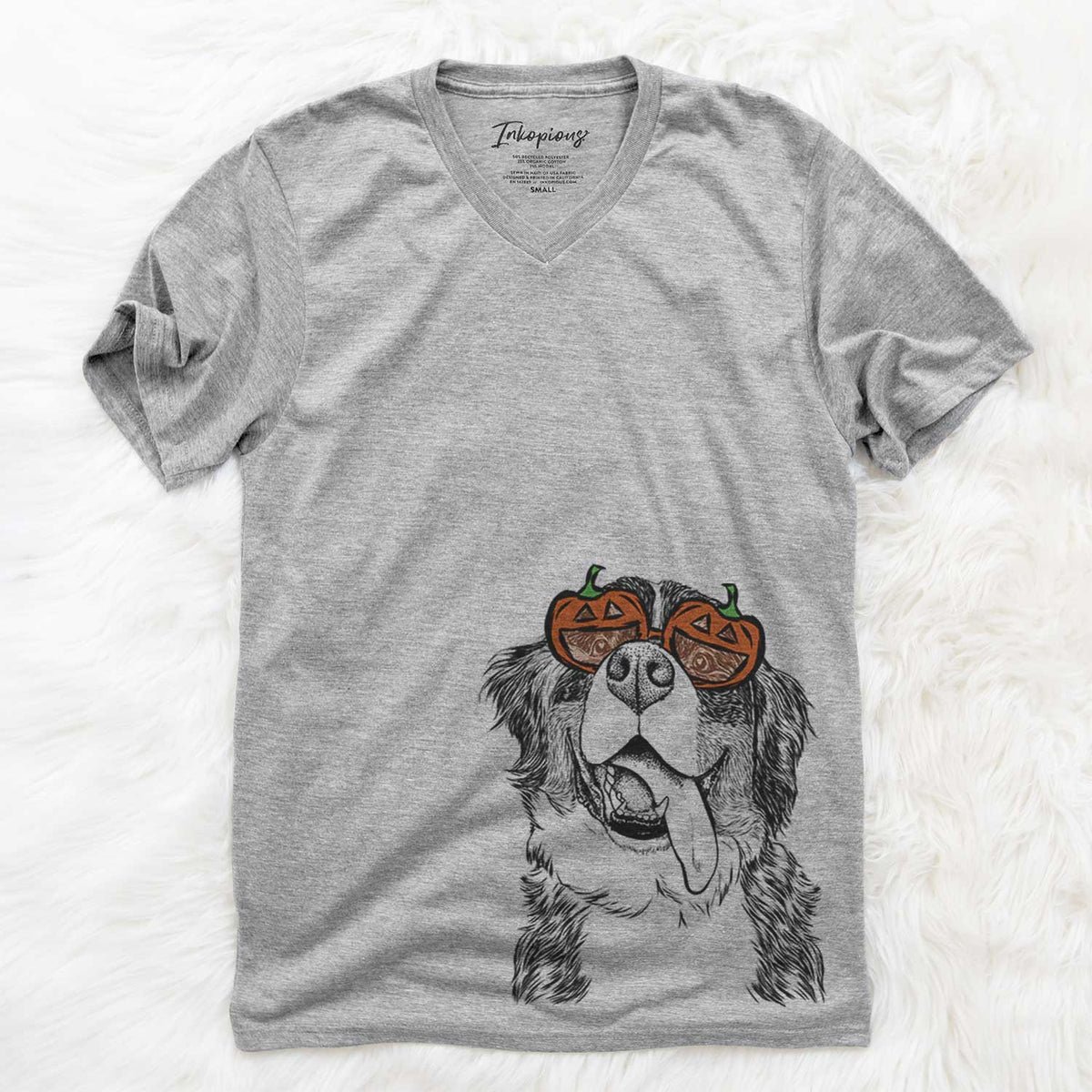 Theo the Bernese Mountain Dog  - Pumpkin Collection