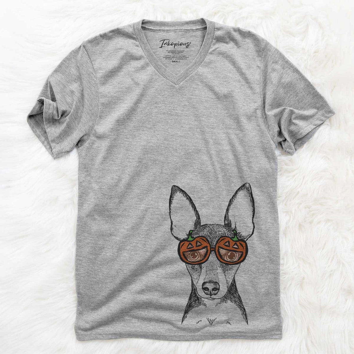 Tiny the Toy Fox Terrier  - Pumpkin Collection