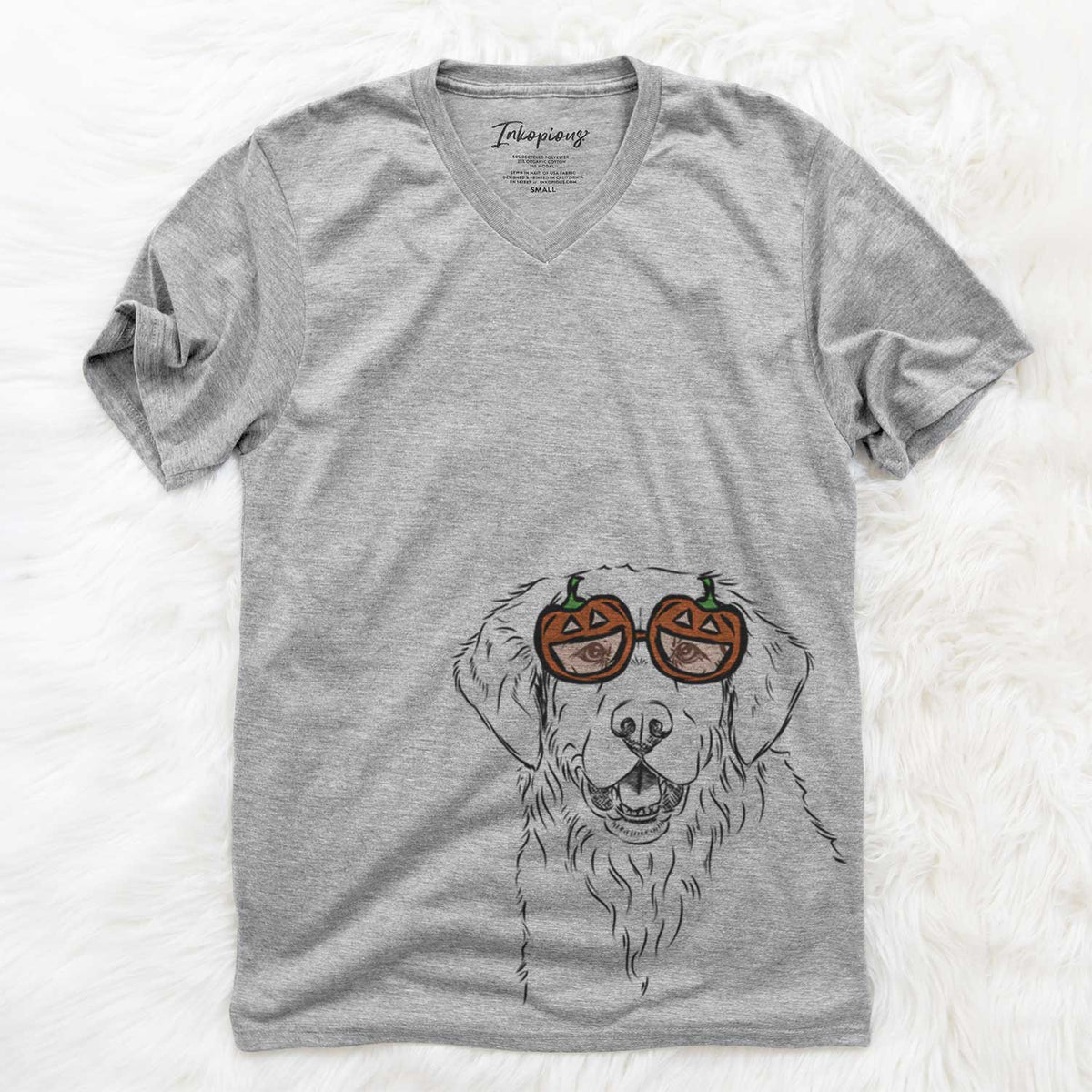 Toby the Golden Retriever  - Pumpkin Collection