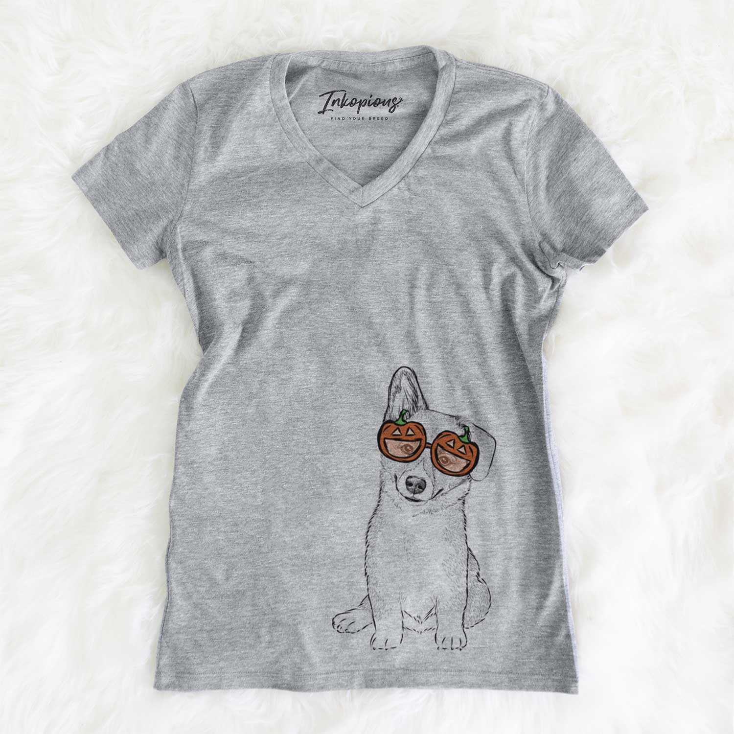 Toby the Corgi Puppy  - Pumpkin Collection